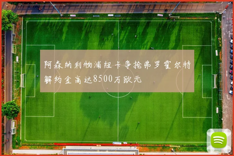 阿森纳利物浦纽卡争抢弗罗霍尔特解约金高达8500万欧元