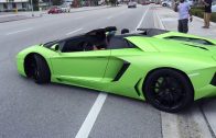 Lamborghini Palm Beach Exotic Car Show – August 2016